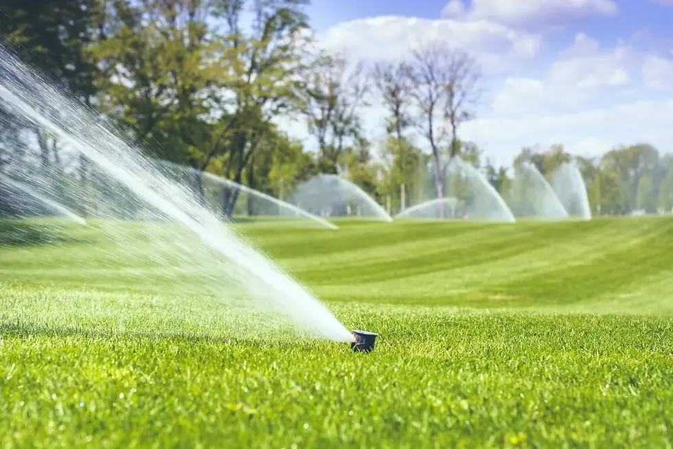Best Lawn Sprinkler Systems for Landscaping Contractors