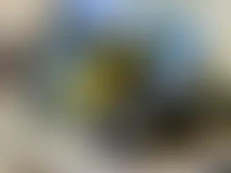 Best Electric Floor Scrapers for Contractors