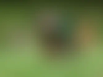 What Impacts the Insurance Cost for a Gun Range Business Today?