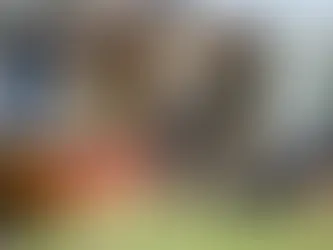 Insurance Cost for Lawn Care Contractors: 2026 Pricing Guide