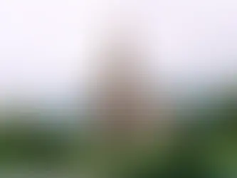 What Impacts the Insurance Cost for a Church and Its Operations?