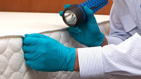 Professional Bed Bug Detection Tools Contractors Use