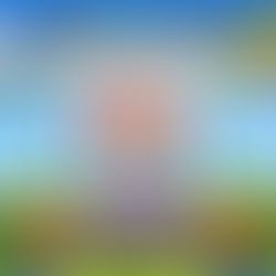 Fun Run Registrations are OPEN!