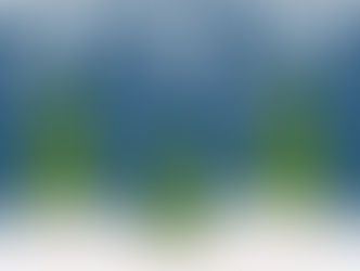 Winter Wonder(ful)land