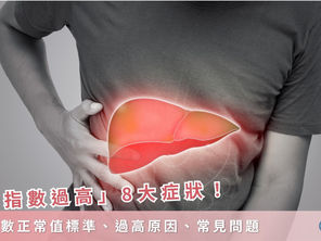 肝指數過高8大症狀、正常值範圍及常見原因|肝功能 檢查必讀指南