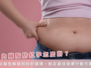 健檢內臟脂肪紅字怎麼辦?教你從報告解讀到科別選擇,制定最佳健康行動方案