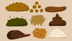 【大便百科】血便顏色與形狀全解析：醫師教你從糞便看懂腸道警訊