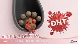 睪固酮會讓人掉髮嗎？DHT、雄性禿與男性荷爾蒙對頭髮的影響
