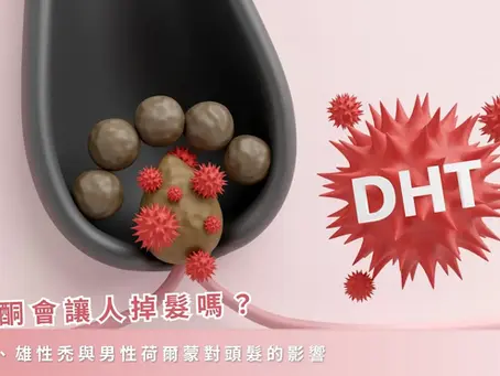 睪固酮會讓人掉髮嗎?DHT、雄性禿與男性荷爾蒙對頭髮的影響