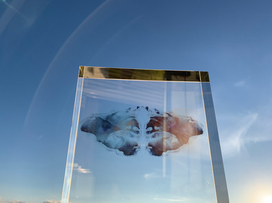 Objet Épiphanique 12/3, 2021