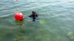 20150627_111122.jpg