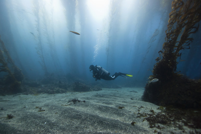 ADVANCED OW SCUBA DIVER