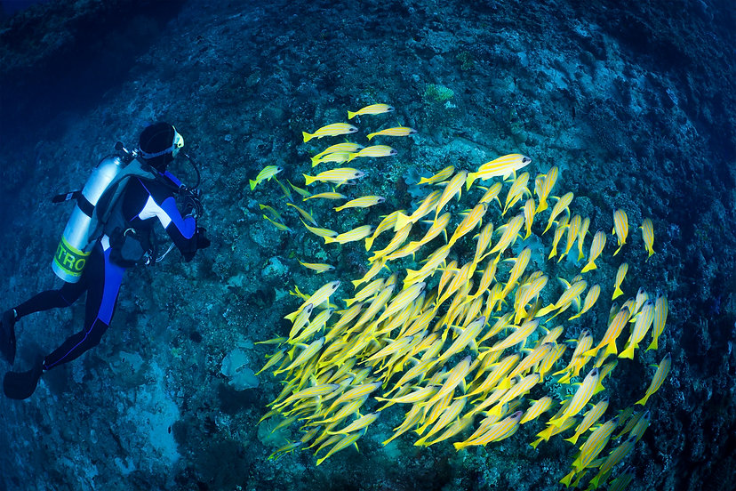 NITROX DIVING
