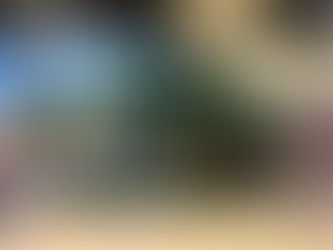 Inclusão e Acessibilidade na Expotai