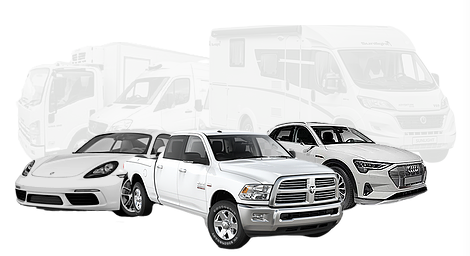 housesitter services, caretaker, driver assistance.png