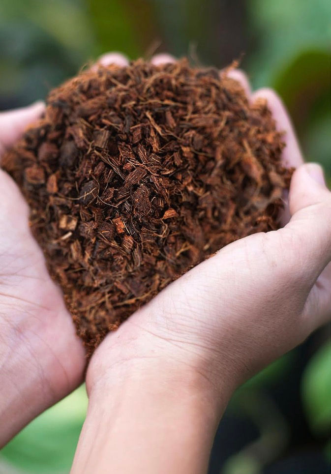 Hands cupping a mound of brown mulch or soil, with a soft green garden background.