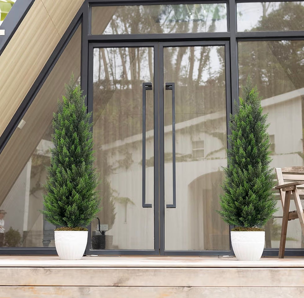 Modern glass double doors with black handles, flanked by two potted evergreens on a patio, with trees reflected in the glass.