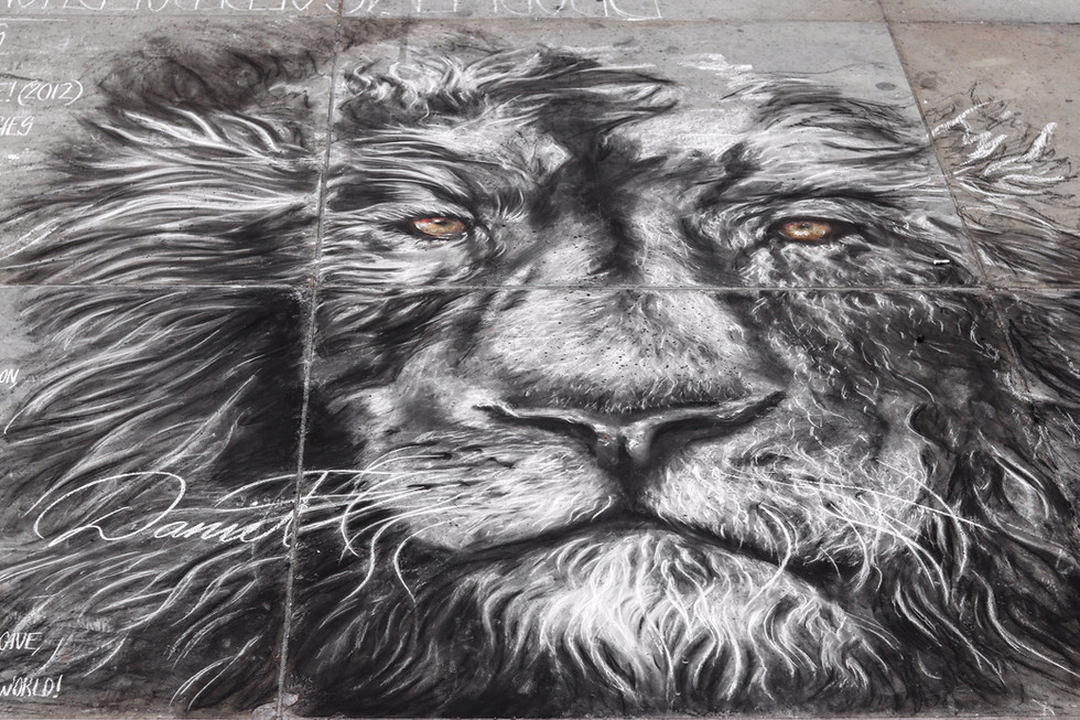 Lion Conservation Street Painting Artivi