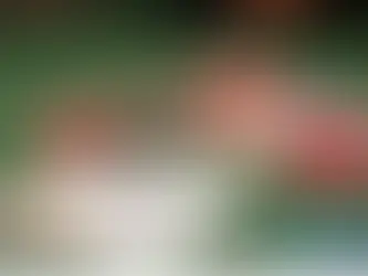 Một số mẹo chơi xì tố giúp bạn dành chiến thắng