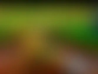 Roulette là gì? Bí kíp chơi hất bay nhiều đối thủ trên bàn cược