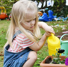 Lime Tree Children's Day Nursery Alton
