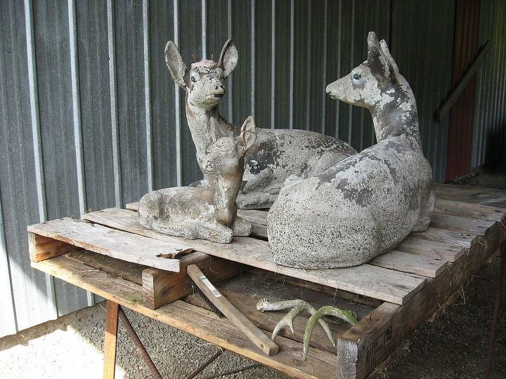 deerfamily