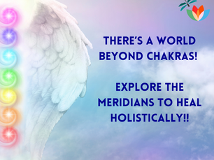 There’s a world beyond Chakras! Explore the Meridians to heal holistically!!