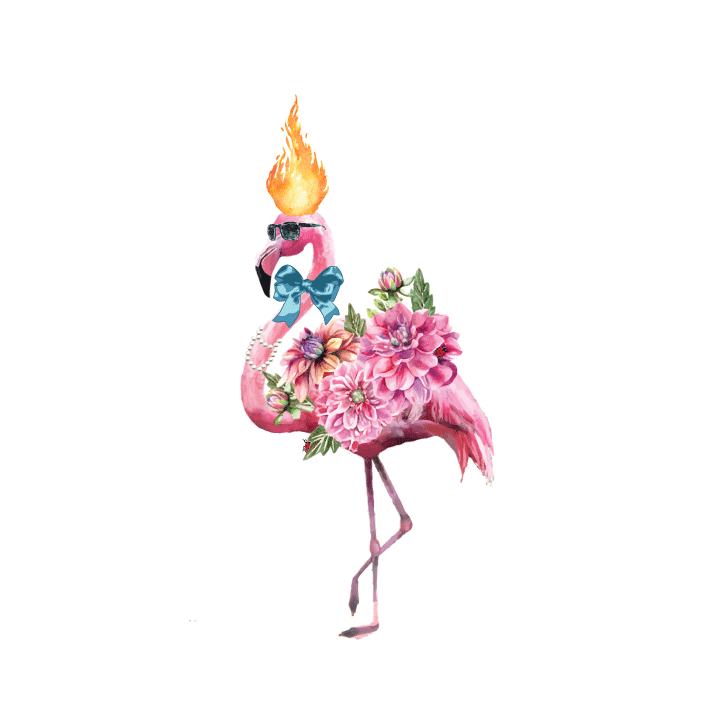 Flaming flamingo .gif