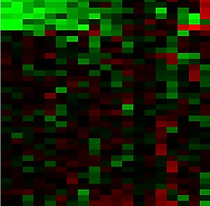 Heatmap_edited.jpg