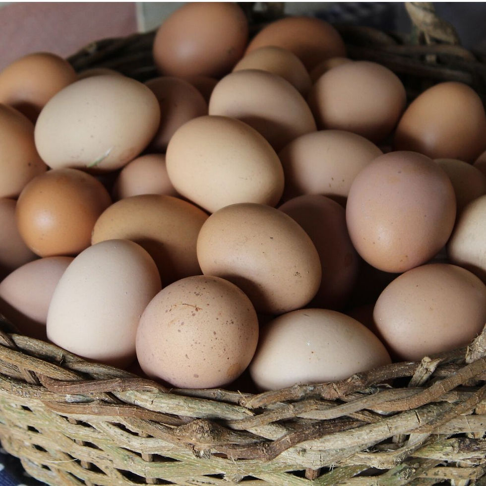 Thumbnail: Half Crate of Eggs (15 Pieces)
