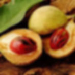nutmeg6