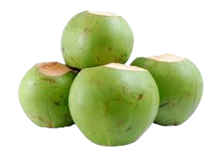 Coconut