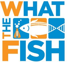 Genetically Engineered Salmon Approved for Consumption