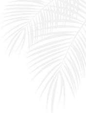 East Coast Flooring palm leaf blue graphic