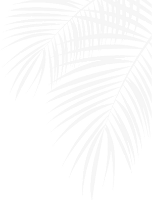 20322294 palm leaf blue_sm_edited_edited