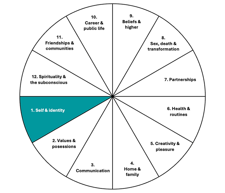 The first house in astrology chart