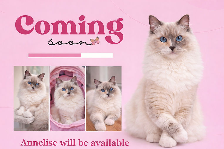 E394FA76-EBF4-4207-980A-A02A8205E389_edi