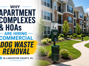 Commercial dog waste removal service cleaning a shared grassy area in a pet-friendly apartment or HOA community in Lancaster County, PA, showing professional pet waste management for cleaner common areas.