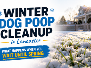 Winter dog poop cleanup in Lancaster PA with snow-covered backyard and visible dog waste buildup after winter thaw