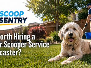 dog poop picker upper in Lancaster PA cleaning a backyard with a pet waste pick up tool during routine Dog waste solutions