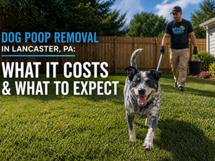 Dog Poop Removal in Lancaster, PA: What It Costs and What to Expect