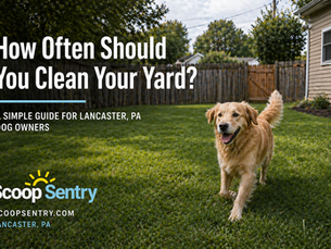 dog waste removal in lititz pa