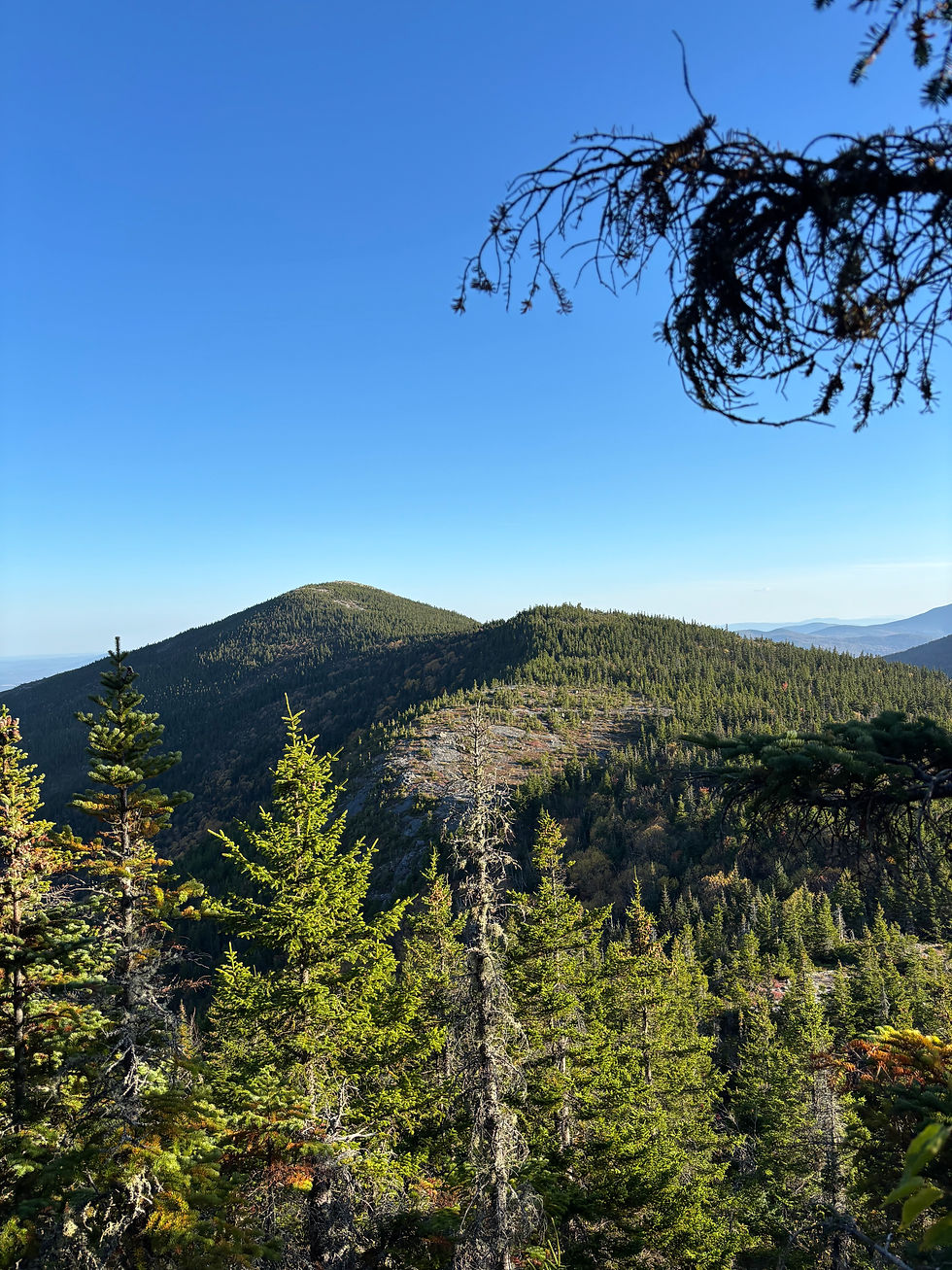 Stony Ledge Trail Hike