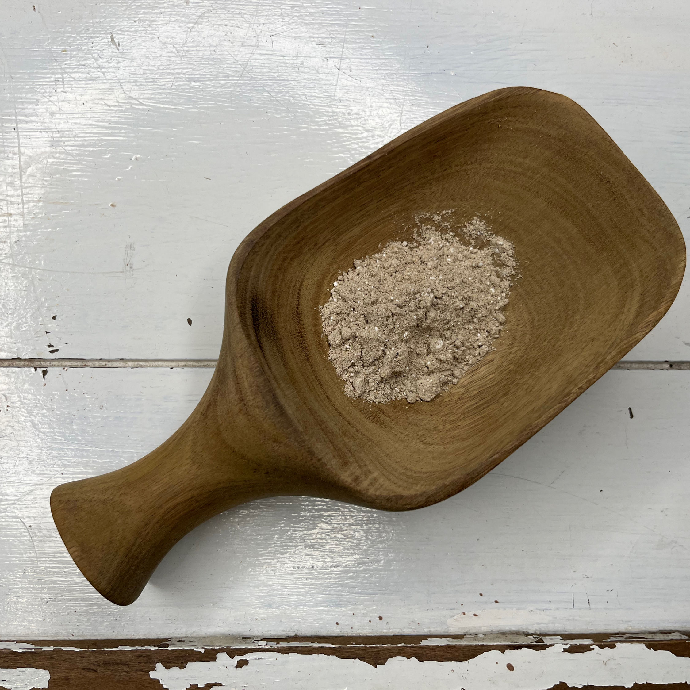 Wooden spoon with Avipatikar powder in the center
