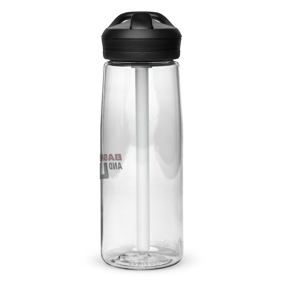 Sports water bottle