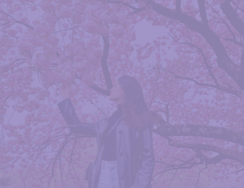 Karla Flores Violeta-01-01.png