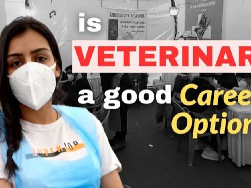 Is Veterinary Science a Good Career in India? Myths, Reality & Opportunities