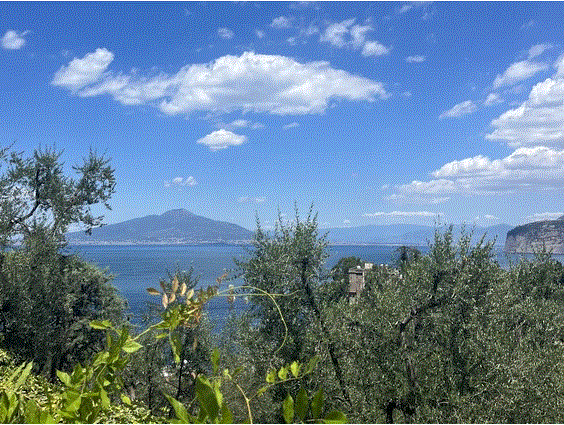 VESUVIUS.GIF