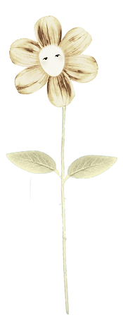 Untitled_Artwork 5.png