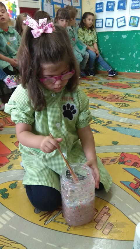 IMG_20190910_102236 (Pequeño)